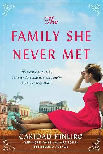 The Family She Never Met cover