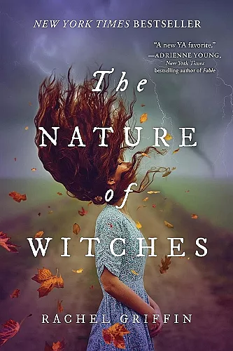 The Nature of Witches cover