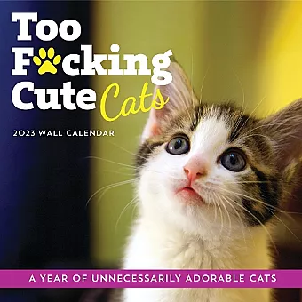 2023 Too F*cking Cute Cats Wall Calendar cover