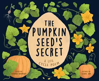 The Pumpkin Seed's Secret cover