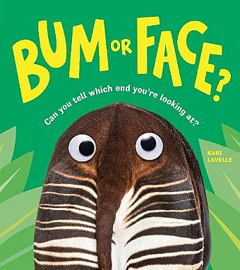 Bum or Face cover