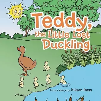 Teddy, the Little Lost Duckling cover