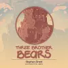 Three Brother Bears cover