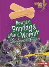 How Is a Bandage Like a Worm? cover