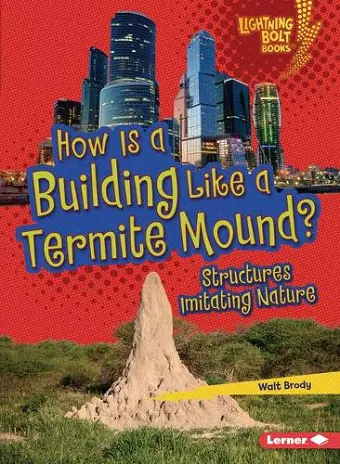 How Is a Building Like a Termite Mound? cover