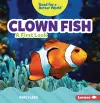 Clown Fish cover