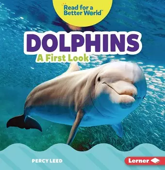 Dolphins cover