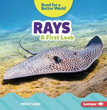 Rays cover