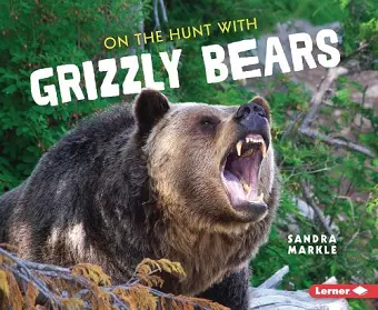 On the Hunt with Grizzly Bears cover