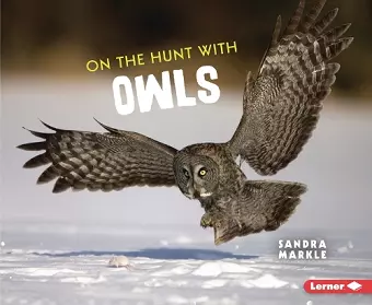 On the Hunt with Owls cover