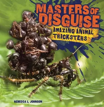 Masters of Disguise cover