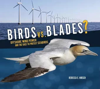 Birds vs. Blades? cover