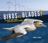 Birds vs. Blades? cover