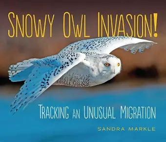 Snowy Owl Invasion! cover