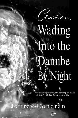 Claire, Wading Into the Danube By Night cover