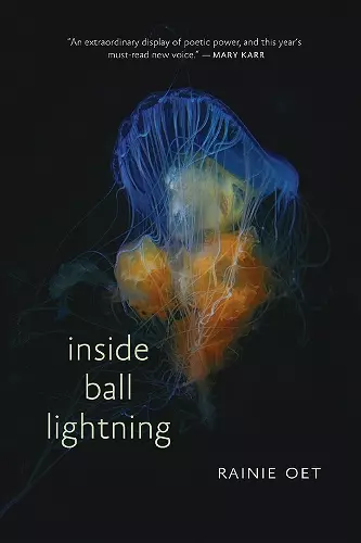 Inside Ball Lightning cover