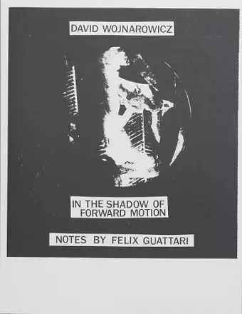 David Wojnarowicz: In the Shadow of Forward Motion cover