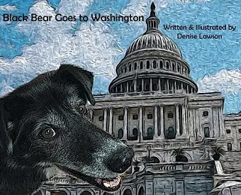 Black Bear Goes to Washington cover