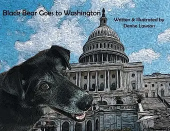 Black Bear Goes to Washington cover