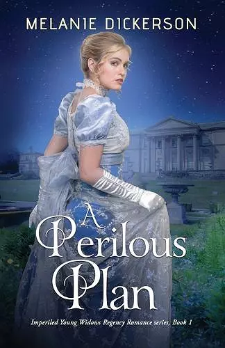 A Perilous Plan cover