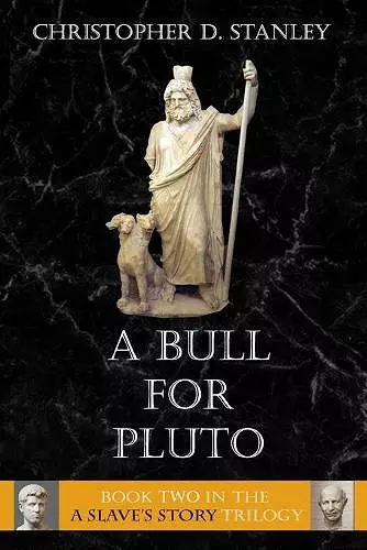 A Bull For Pluto cover