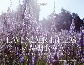 Lavender Fields of America cover