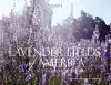 Lavender Fields of America cover