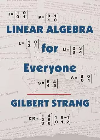 Linear Algebra for Everyone cover