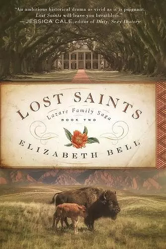 Lost Saints cover