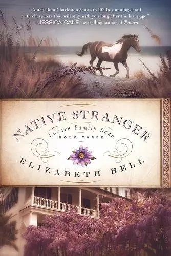 Native Stranger cover