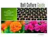 Ball Culture Guide cover