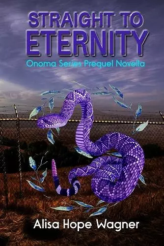 Straight to Eternity cover