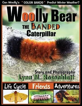 Woolly Bear the Banded Caterpillar cover