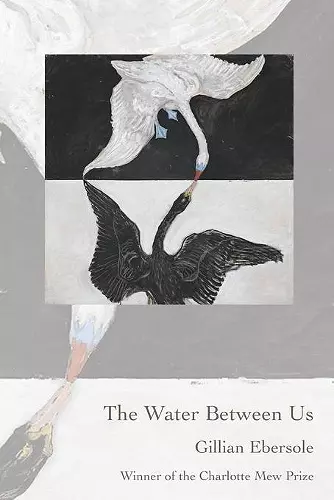 The Water Between Us cover