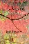 In the Next Life cover