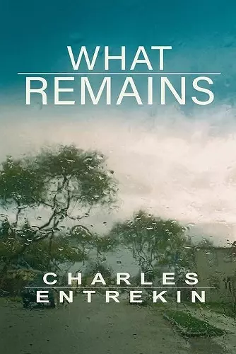 What Remains cover