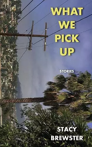 What We Pick Up cover