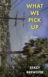 What We Pick Up cover