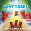 Land of the Lost Socks cover