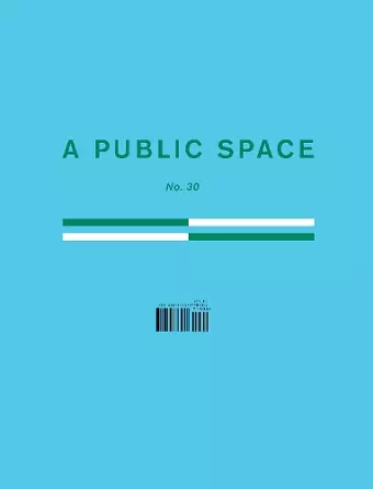 A Public Space No. 30 cover