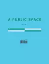 A Public Space No. 30 cover