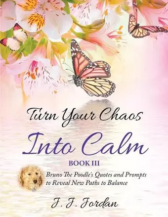 Turn Your Chaos Into Calm cover