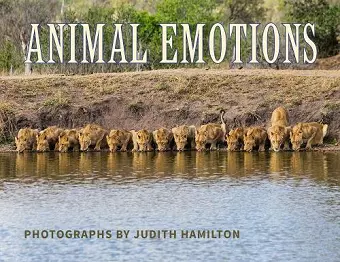 Animal Emotions cover