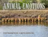 Animal Emotions cover