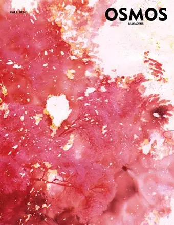 OSMOS Magazine: Issue 27 cover