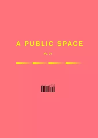 A Public Space No. 31 cover