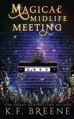 Magical Midlife Meeting cover