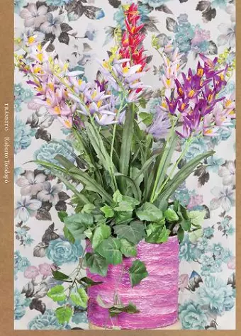 Roberto Tondopó: Tránsito cover