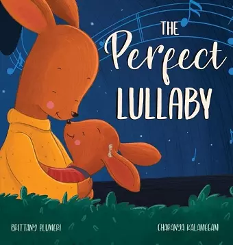 The Perfect Lullaby cover