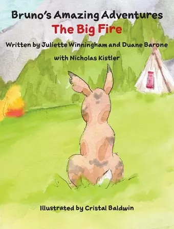 The Big Fire cover